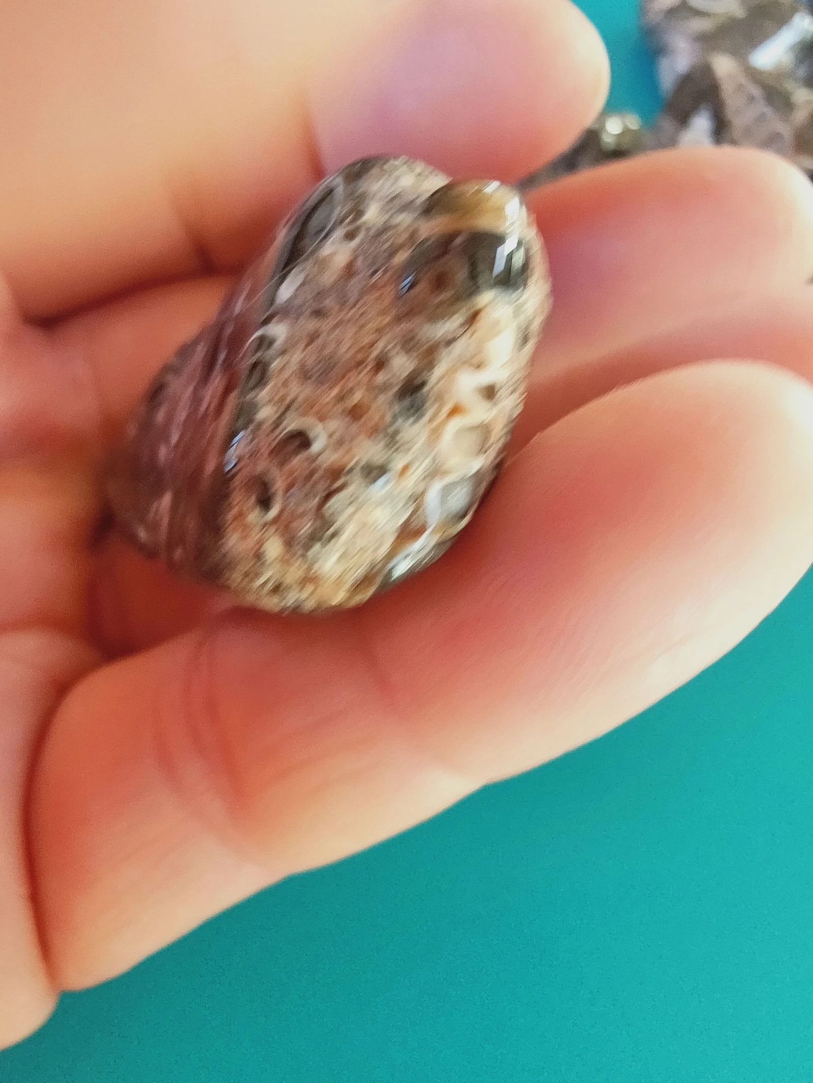 Een zeer mooie agate turitelle – photo 3
